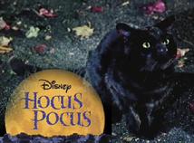 Voice of "Binx" - Disney's Hocus Pocus